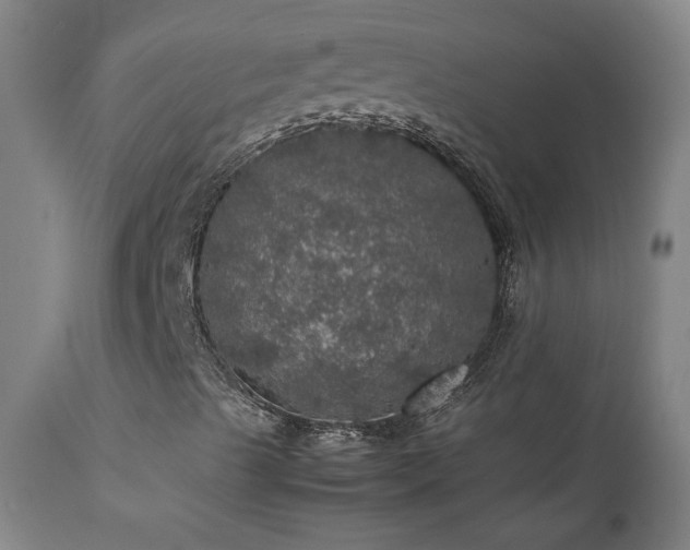X0000111471489200907131506