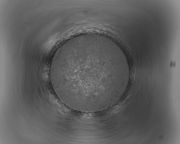 X0000111471490200907131506