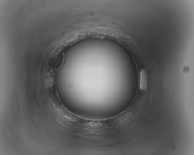 X0000111471491200907131506