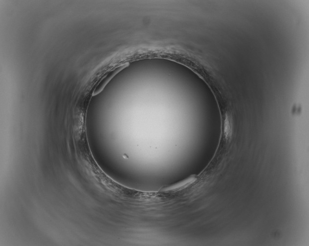 X0000111471492200907131506