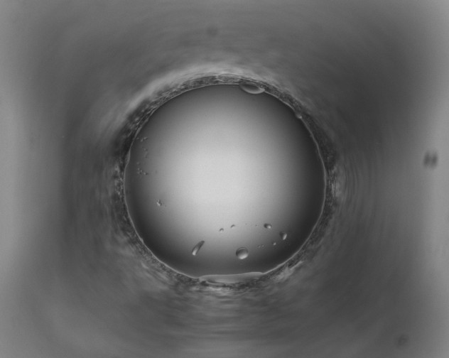 X0000111471495200907131506