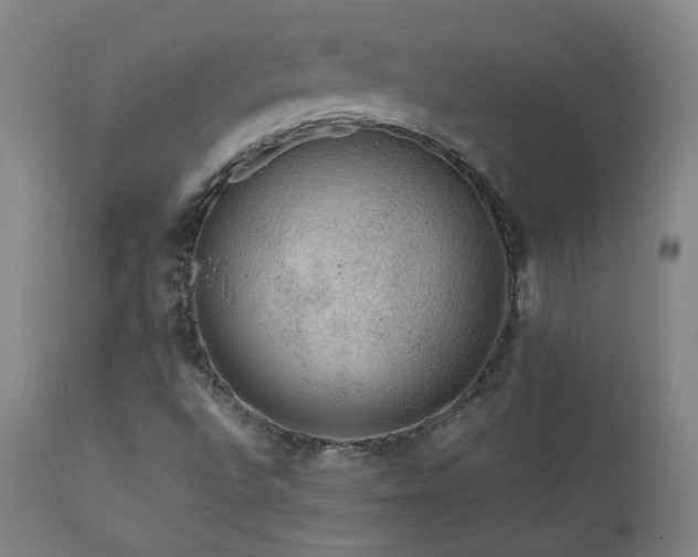 X0000111471496200907131506