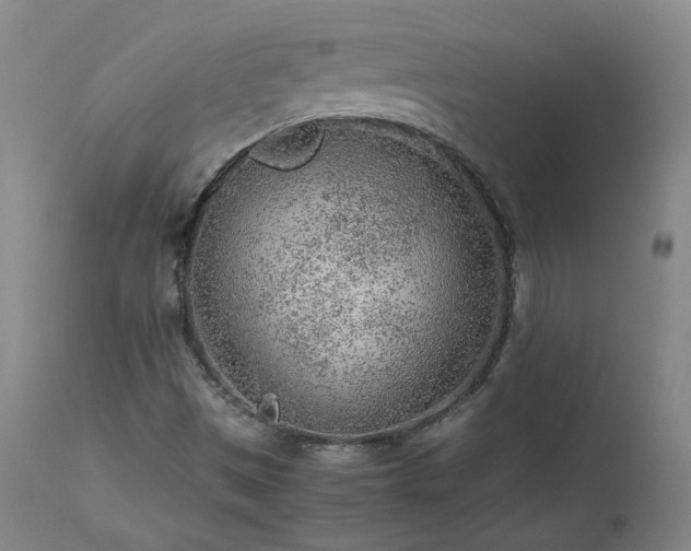 X0000111471497200907131506