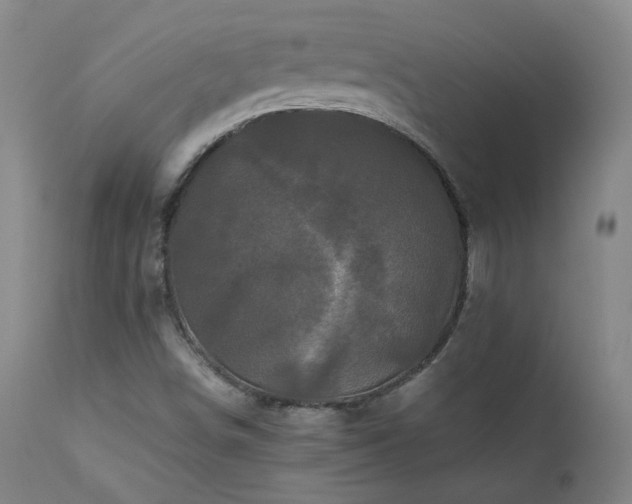 X0000111471498200907131506