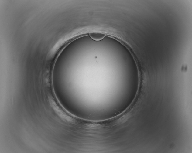X0000111471499200907131506