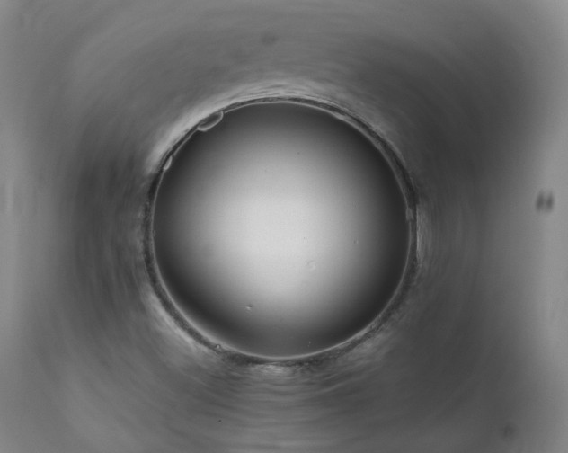 X0000111471500200907131506