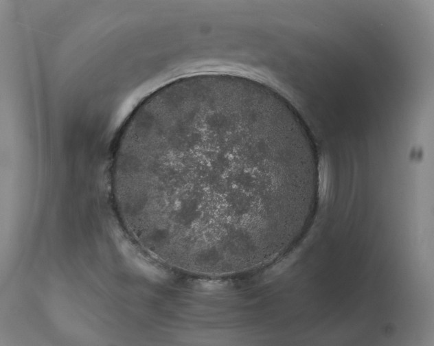 X0000111471501200907131506