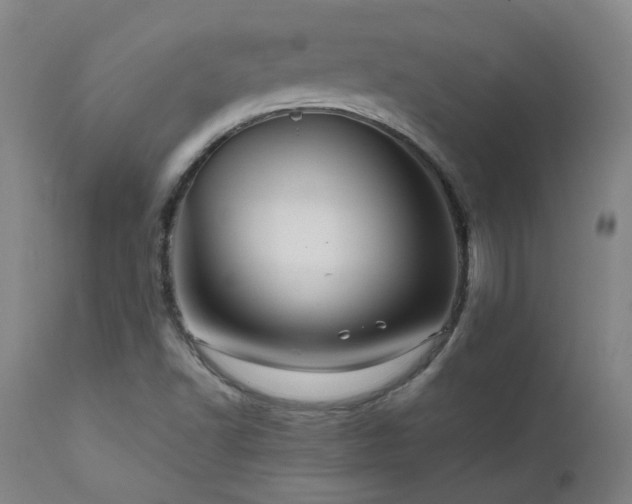 X0000111471502200907131506