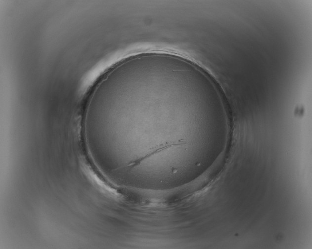 X0000111471503200907131506