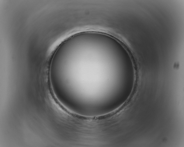X0000111471504200907131506