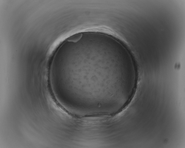 X0000111471506200907131506