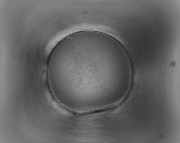X0000111471507200907131506
