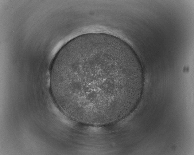 X0000111471509200907131506