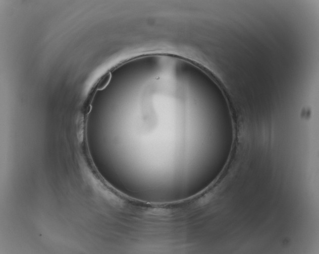 X0000111471510200907131506