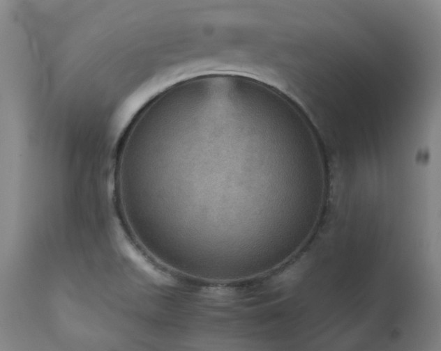 X0000111471511200907131506