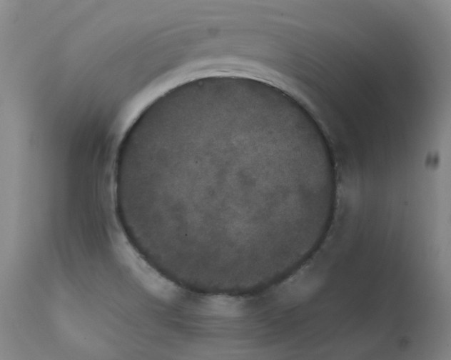 X0000111471514200907131506