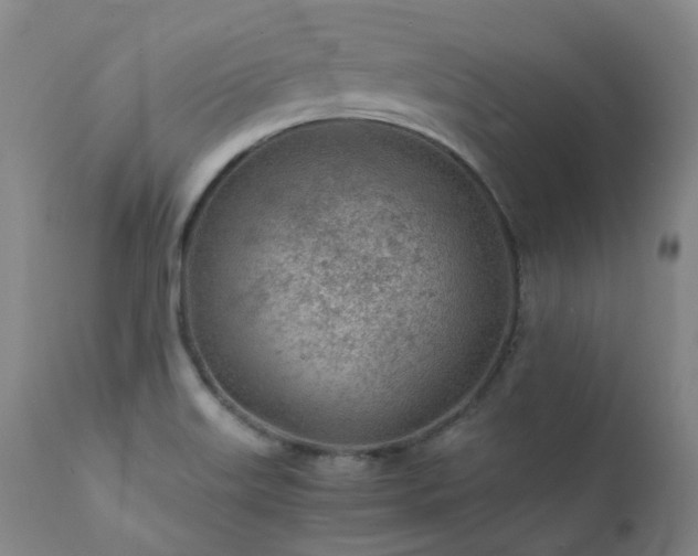 X0000111471515200907131506