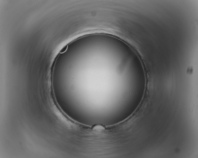 X0000111471516200907131506