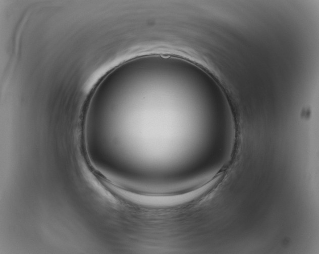 X0000111471518200907131506