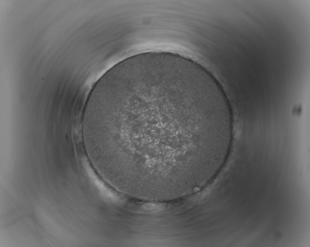 X0000111471521200907131507