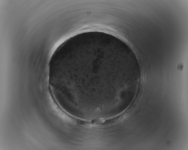 X0000111471522200907131507