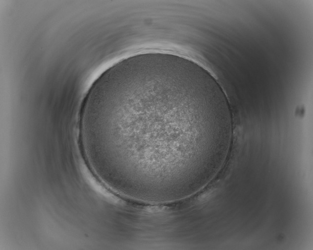 X0000111471523200907131507