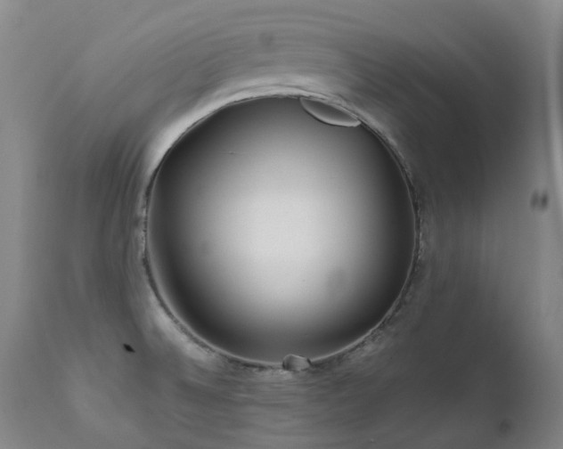 X0000111471524200907131507