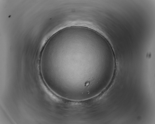 X0000111471525200907131507