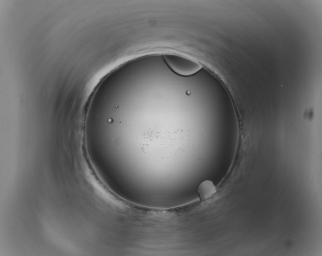 X0000111471526200907131507