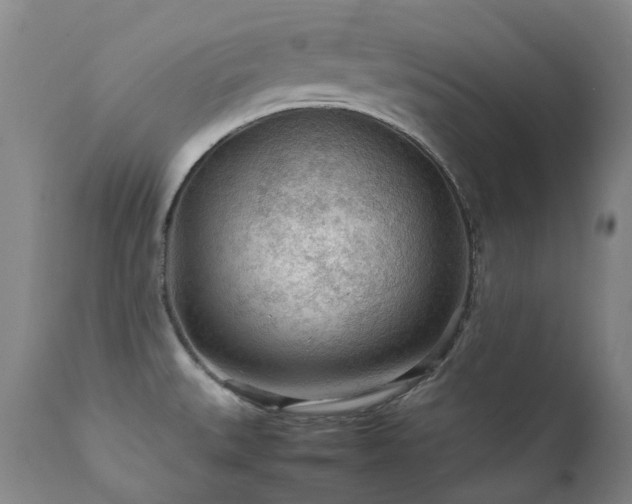 X0000111471527200907131507