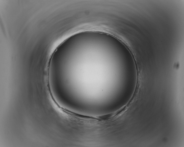 X0000111471528200907131507