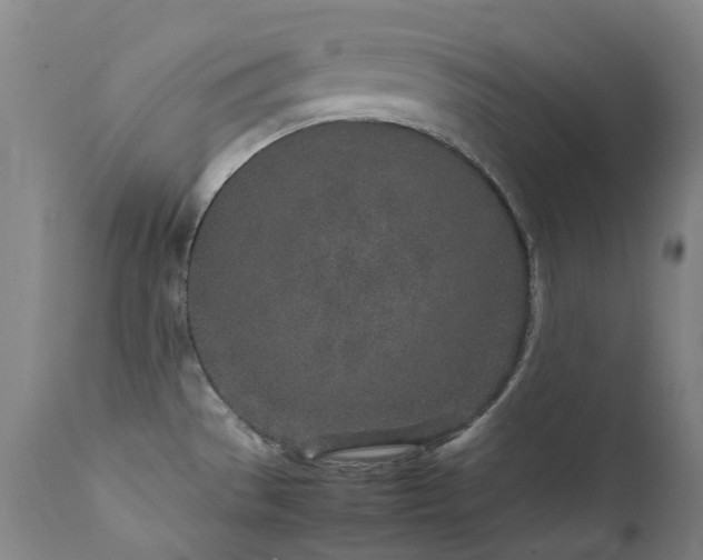 X0000111471529200907131507