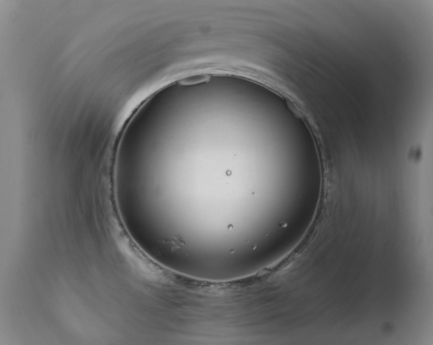 X0000111471530200907131507