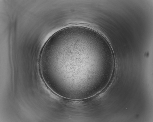 X0000111471533200907131507