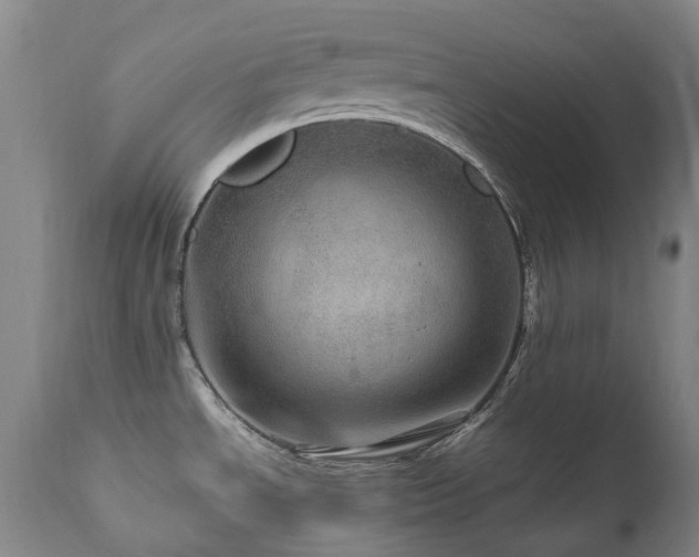 X0000111471534200907131507