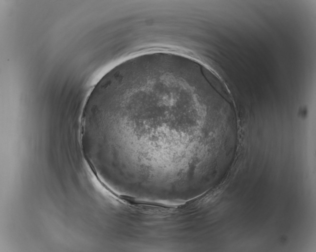 X0000111471535200907131507