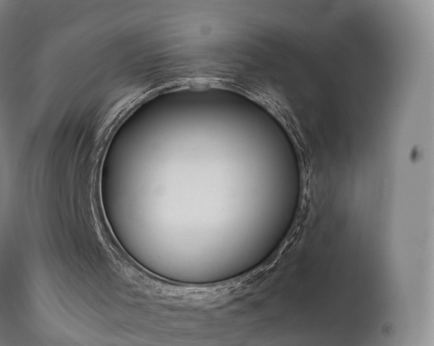 X0000111470001200907201148