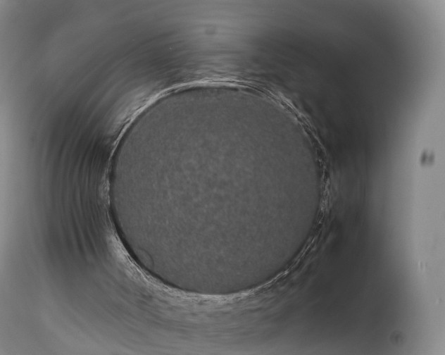 X0000111470002200907201148