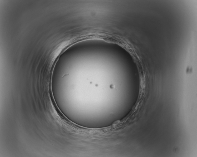 X0000111470003200907201148