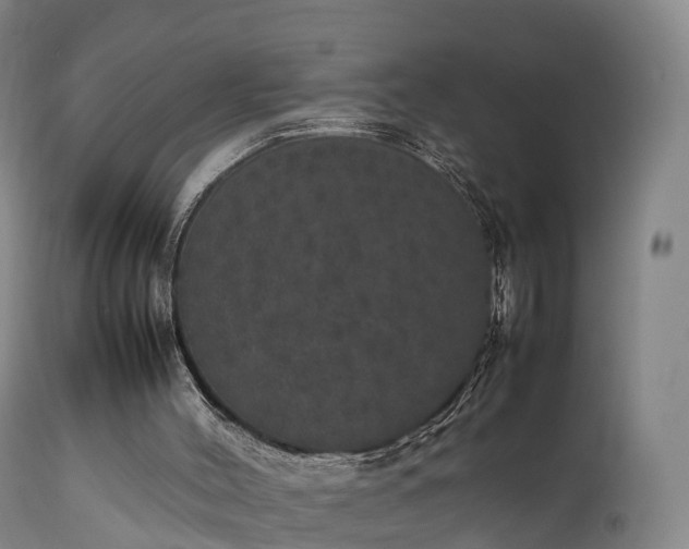 X0000111470004200907201148