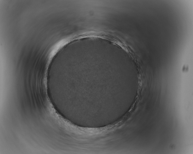 X0000111470006200907201148