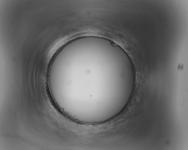 X0000111470007200907201148