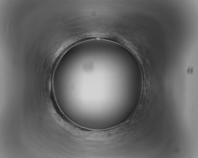 X0000111470011200907201148