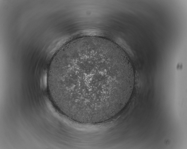 X0000111470014200907201148