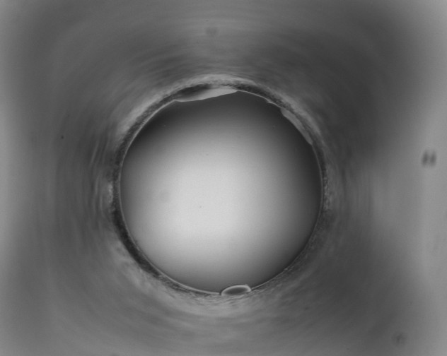 X0000111470015200907201148