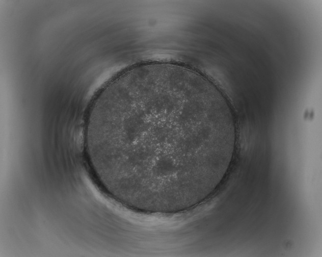 X0000111470016200907201148