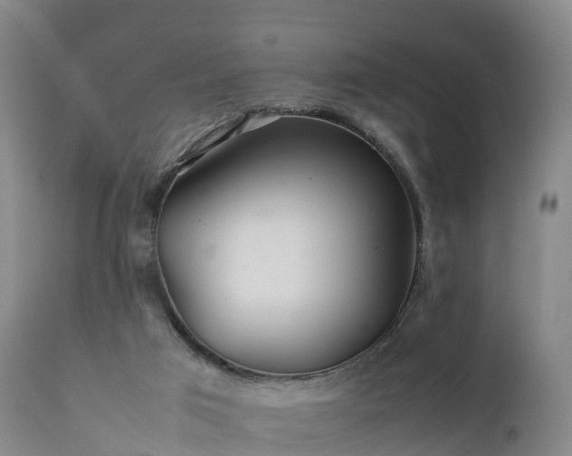 X0000111470017200907201148