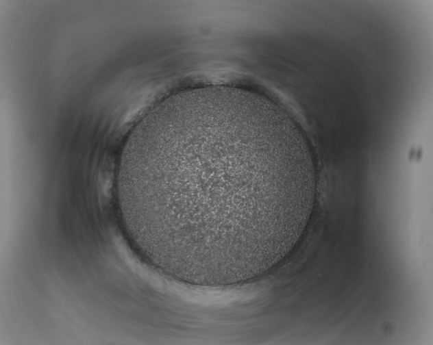 X0000111470018200907201148