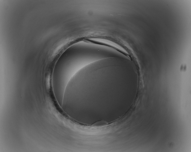 X0000111470019200907201148