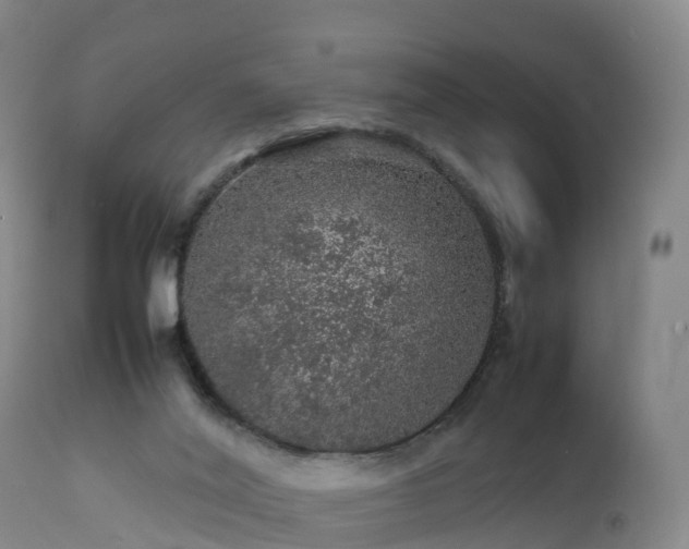 X0000111470020200907201148